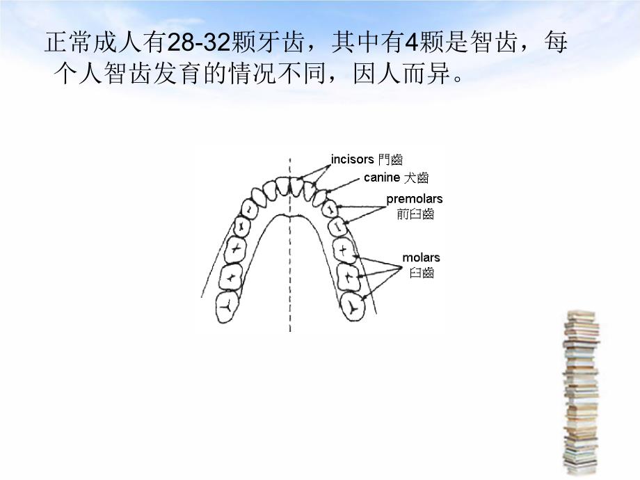 口腔健康小知识PPT1250_第3页