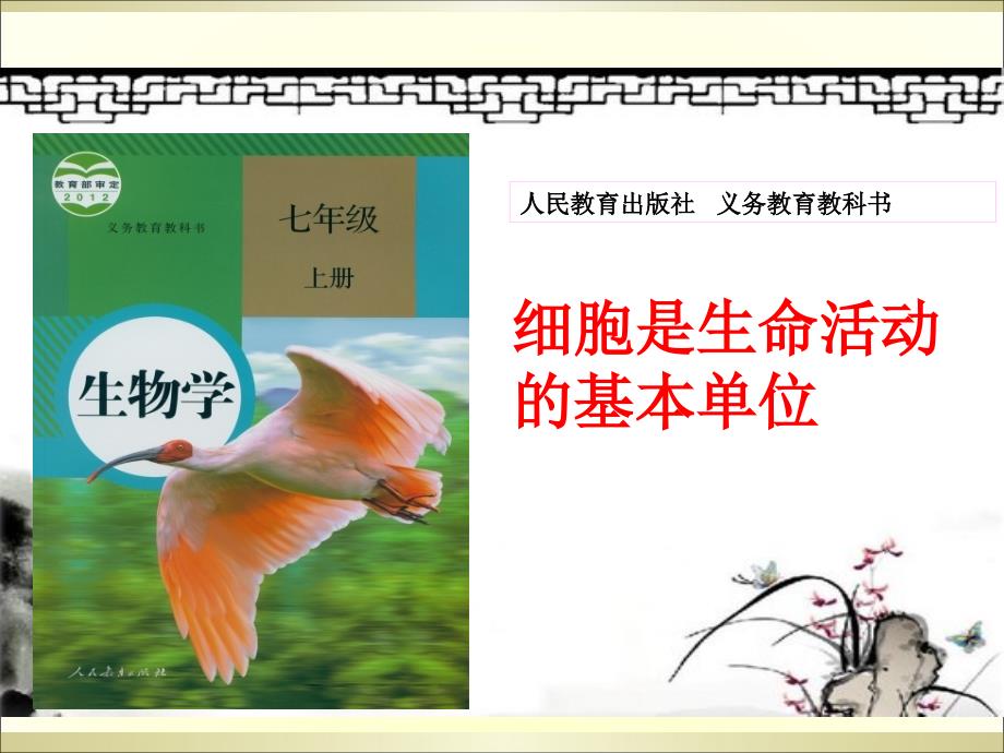 人教版七年级生物上册细胞是生命活动的基本单位 说教材课件(共65张PPT)_第1页