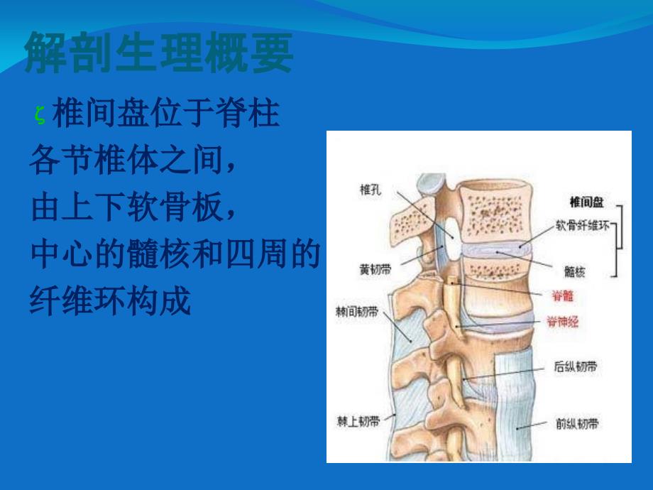 腰椎间盘突出症康复护理_第2页