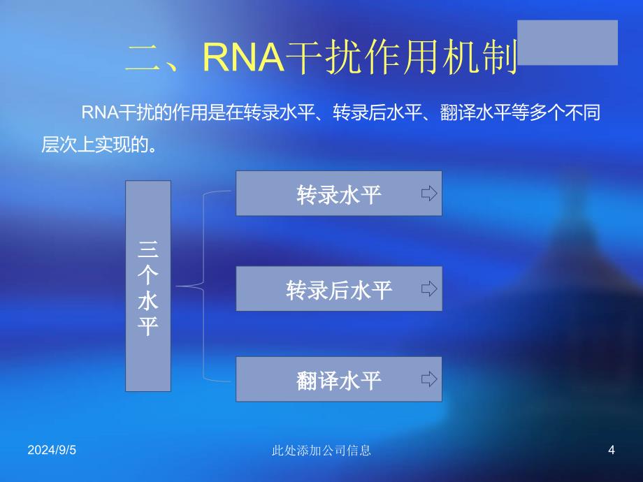 rna干扰与肿瘤研究及治疗ppt课件_第4页