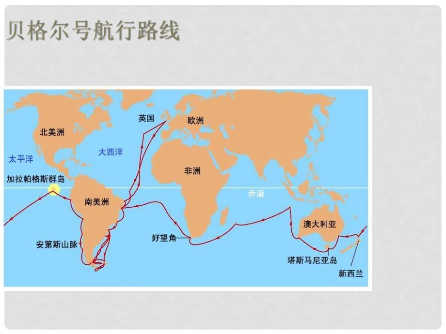 八年级生物下册 第21章 第二节 生物的进化课件3 （新版）北师大版_第4页