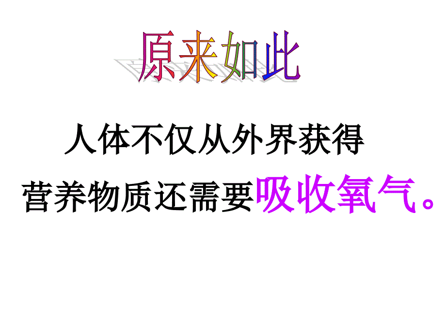 431《呼吸道对空气的处理》课件(人教版七年级下)_第2页