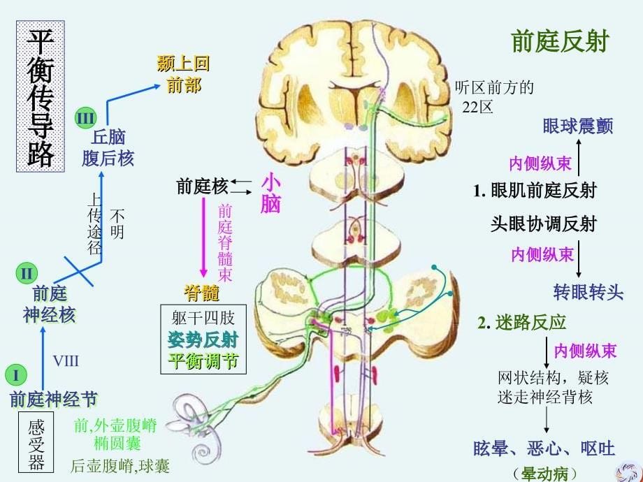 余小兰-肌电生物反馈神经康复新技术(武汉).ppt_第5页