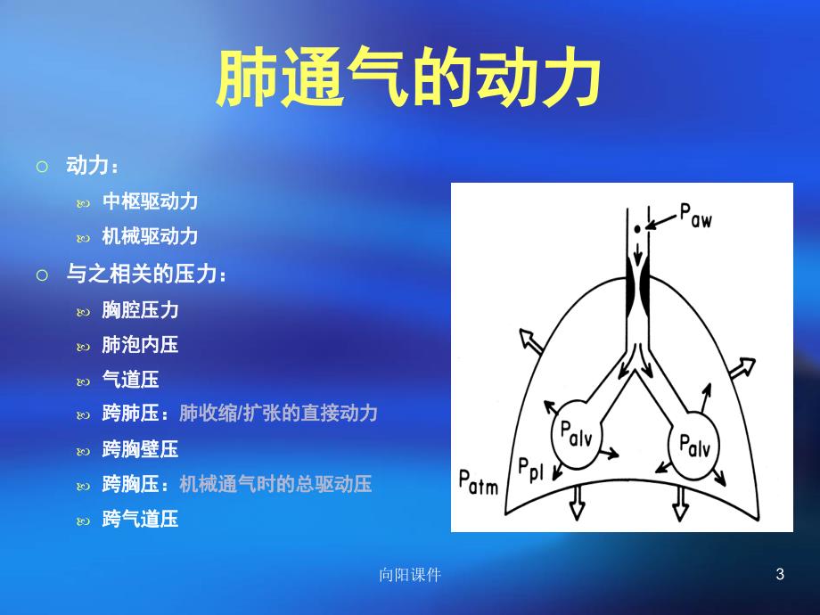 呼吸力学导向的通气设置行业知识_第3页