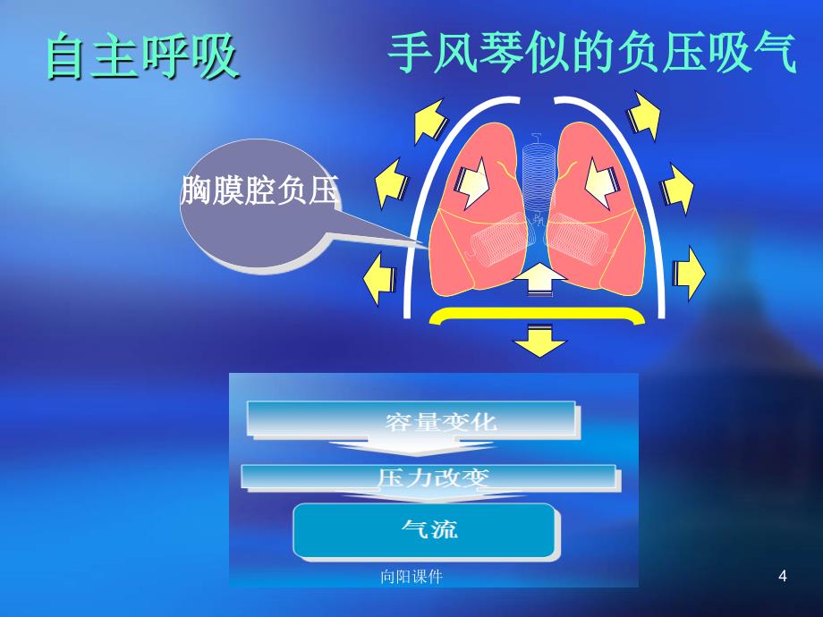 呼吸力学导向的通气设置行业知识_第4页