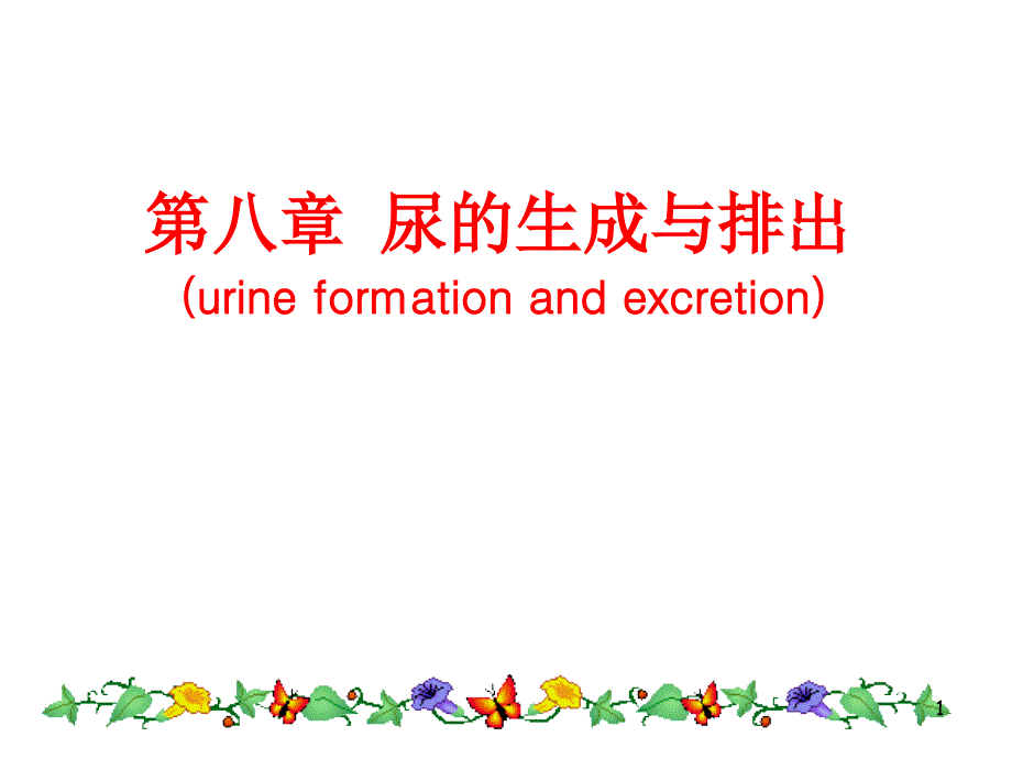 [生理学]尿的生成和排出.ppt_第1页