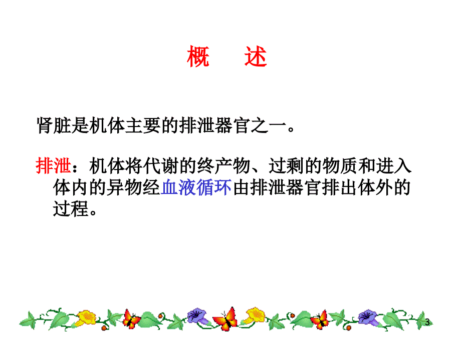 [生理学]尿的生成和排出.ppt_第3页