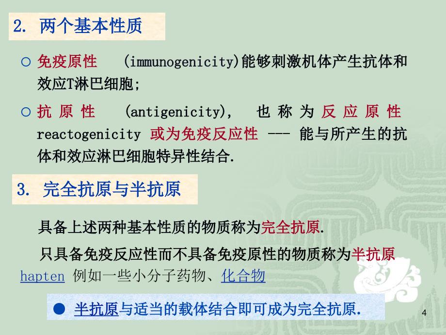 抗原硕士班PPT课件_第4页