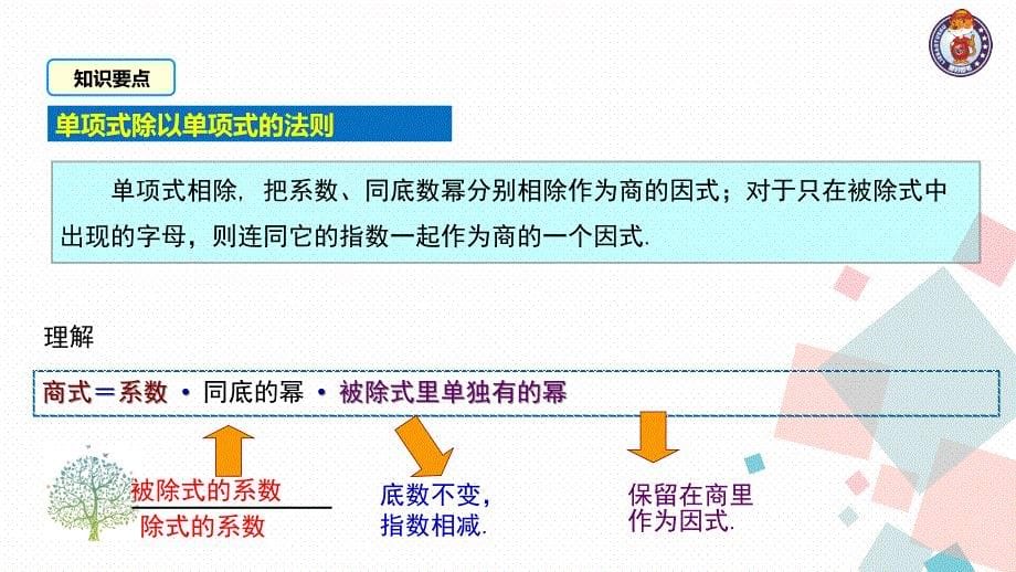 单项式除以单项式 (3)_第5页