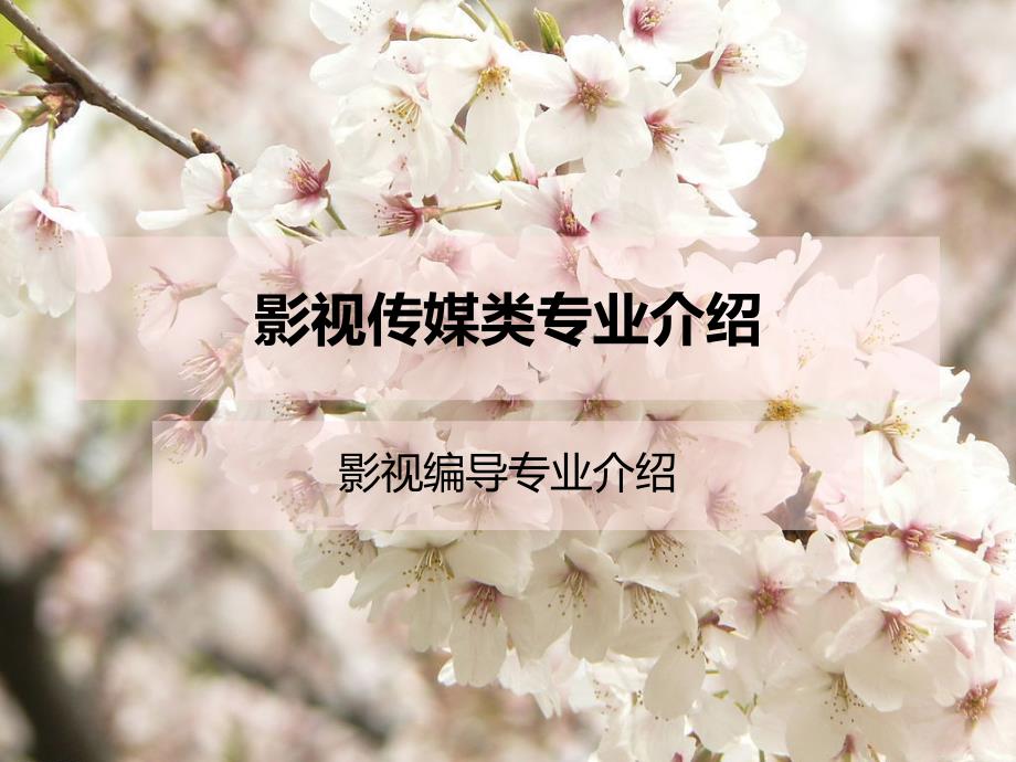 影视传媒类专业介绍.ppt_第1页