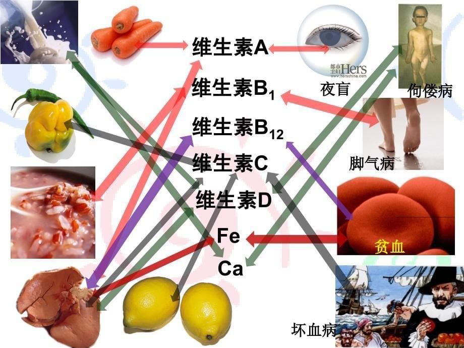 生活　维生素与微量元素(wy)_第5页