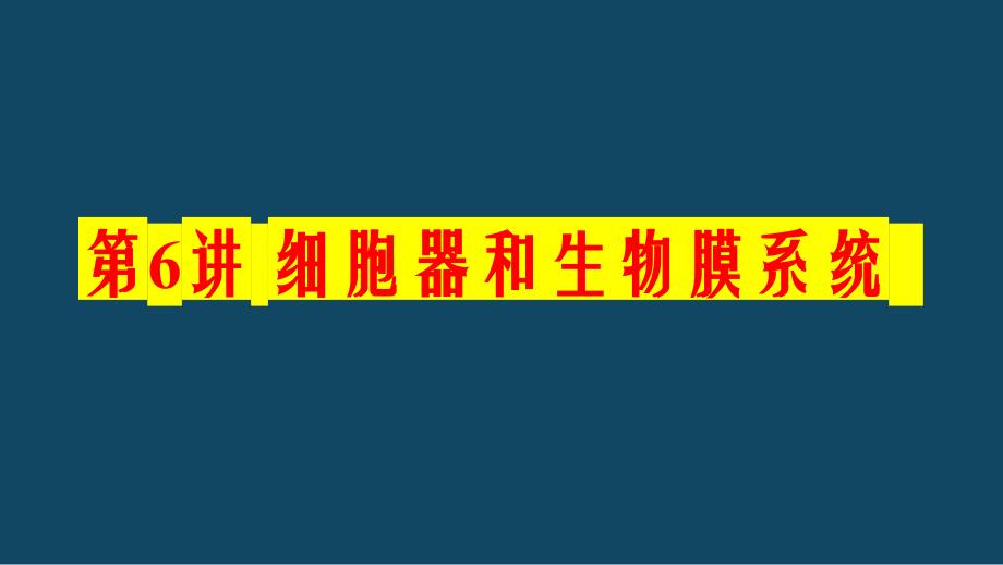 备战新高考2024年高考生物复习考新教材第06讲 细胞器和生物膜系统_第1页