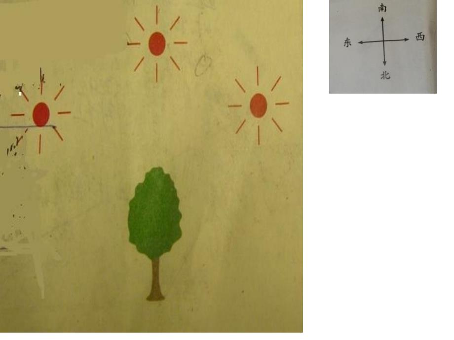 教科版科学五上《阳光下的影子》课件.ppt_第2页