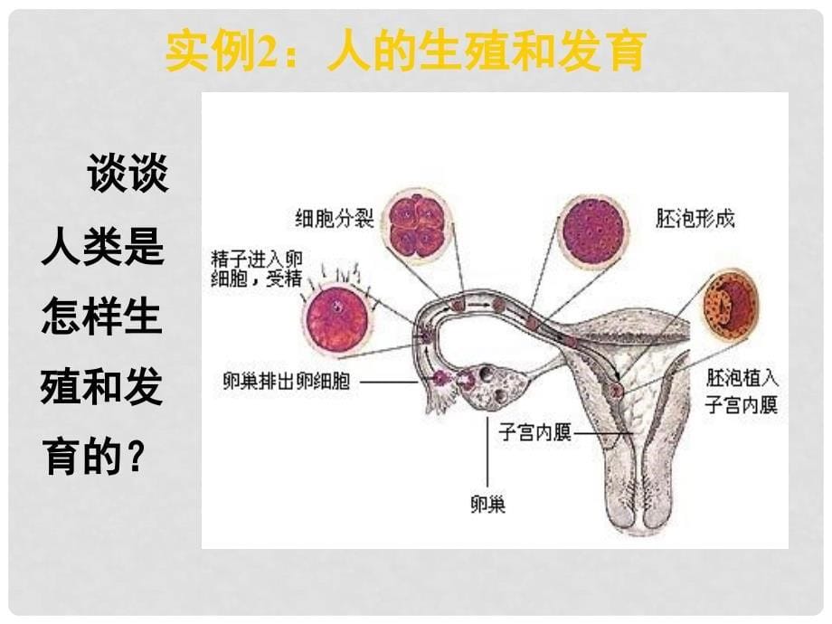 湖南省永兴县第五中学高中生物 11 从生物圈到细胞课件 新人教版必修1_第5页