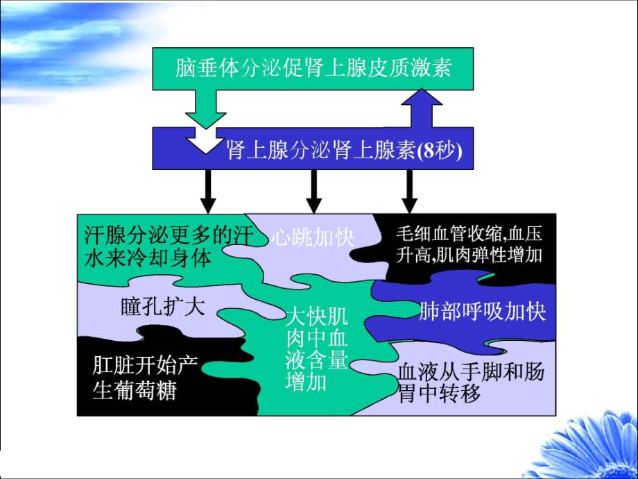 724172037万科压力情绪管理PPT_第3页