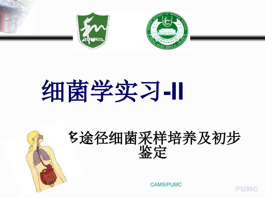 医学微生物学资料：细菌实习-2-1_第1页