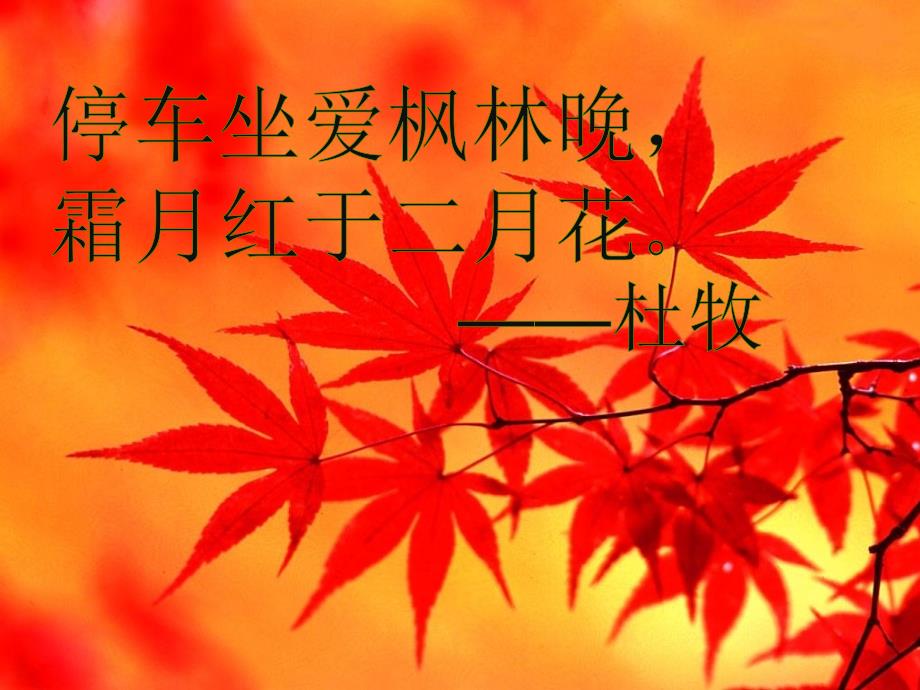 《故都的秋一等奖》PPT课件.ppt_第3页