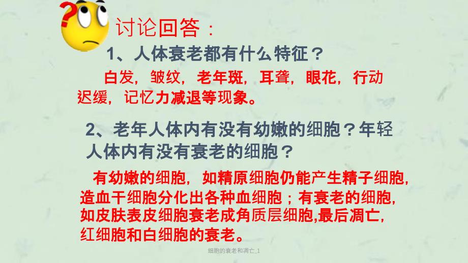 细胞的衰老和凋亡_1课件_第4页