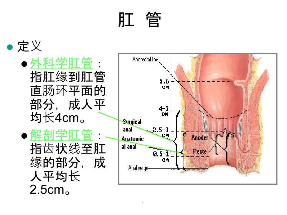 直肠及肛管超声诊断_第3页