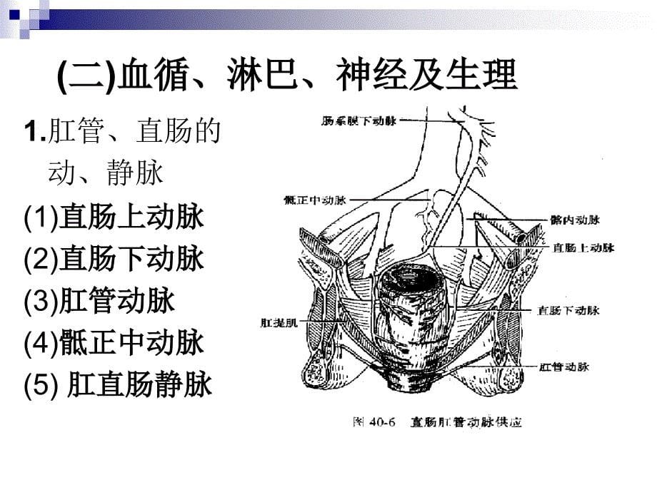 直肠肛管疾病PP课件_第5页