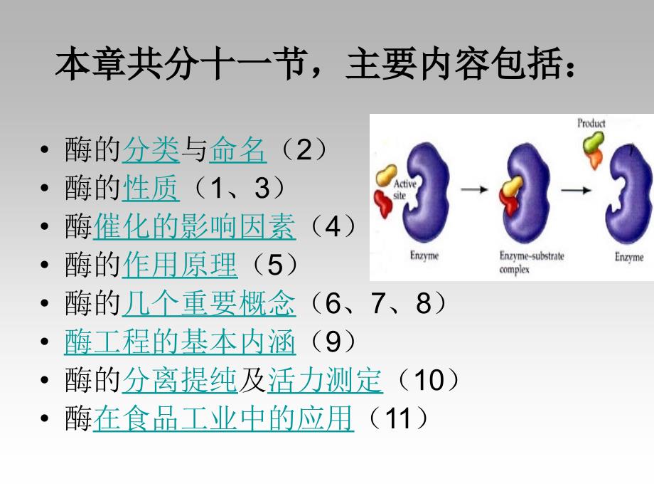 食品生物化学第5章酶_第2页