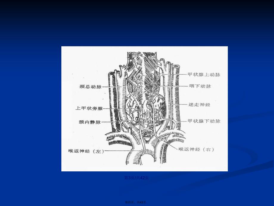 临床执业考试外科学颈部疾病学习教案_第4页