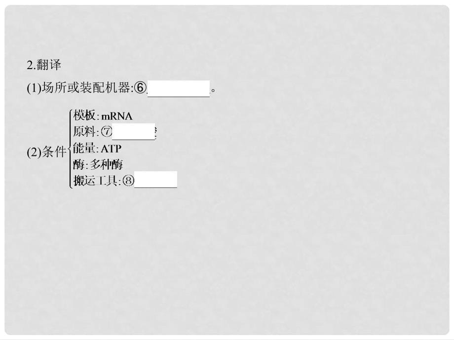 高考生物一轮复习 遗传与进化 第5单元 遗传的细胞基础和分子基础 第15讲 基因的表达课件（必修2）_第5页