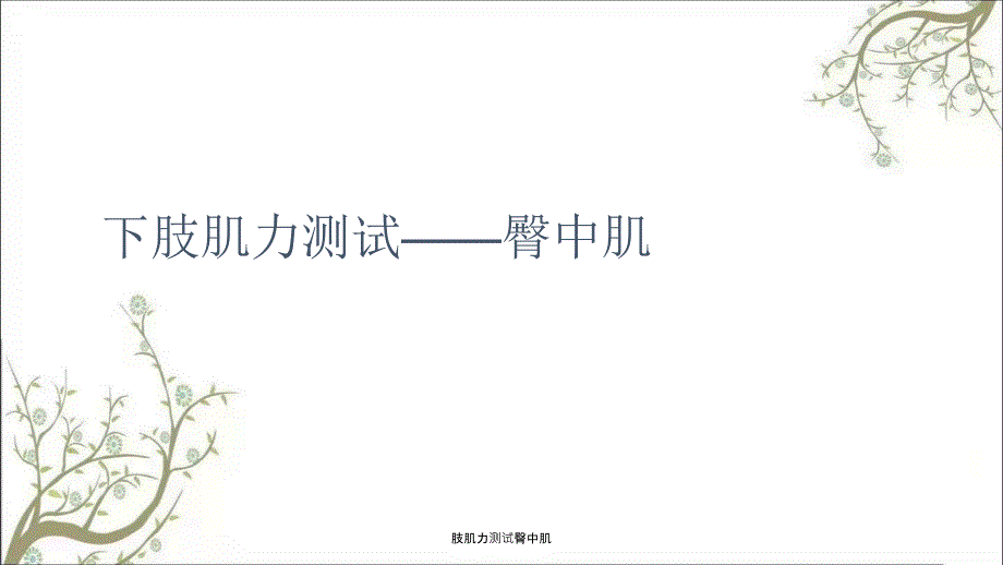 肢肌力测试臀中肌课件_第1页