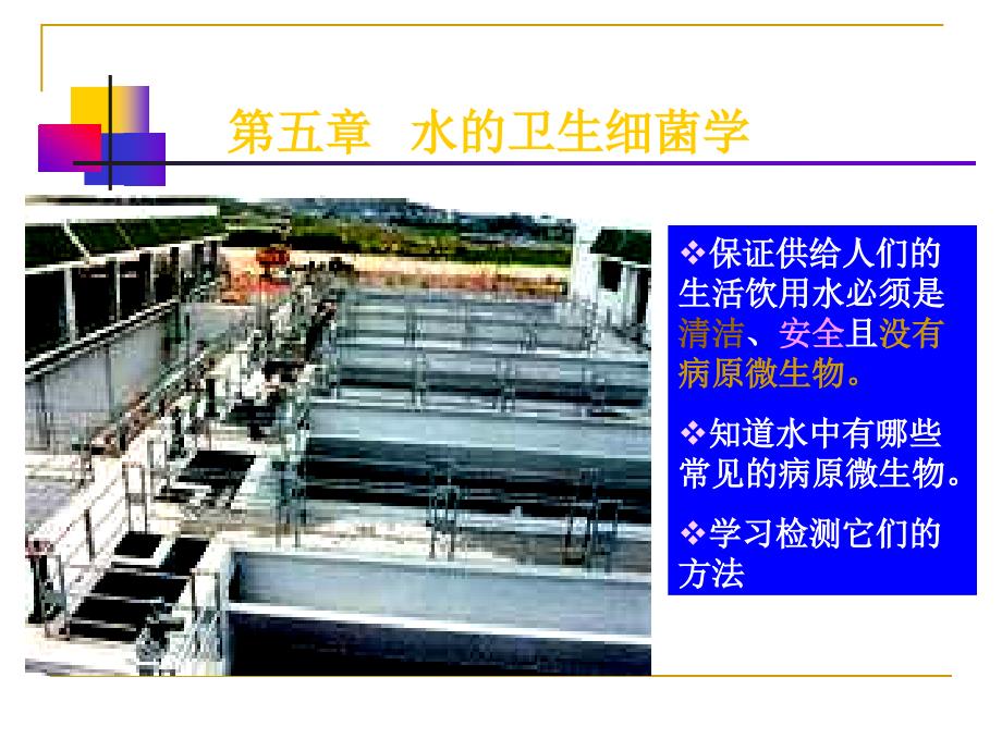 水处理微生物课件第十一章_第1页