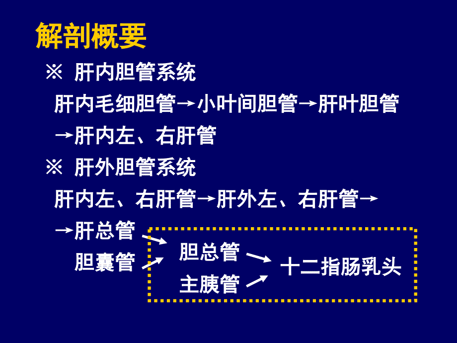 《胆道系统疾病》PPT课件_第2页