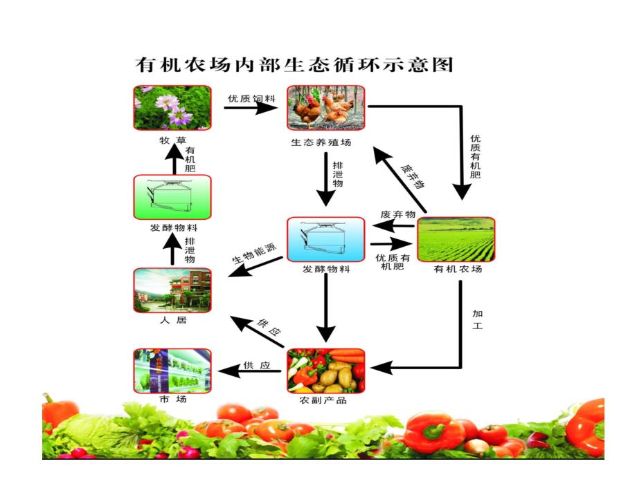 有机农场构思方案ppt课件_第2页