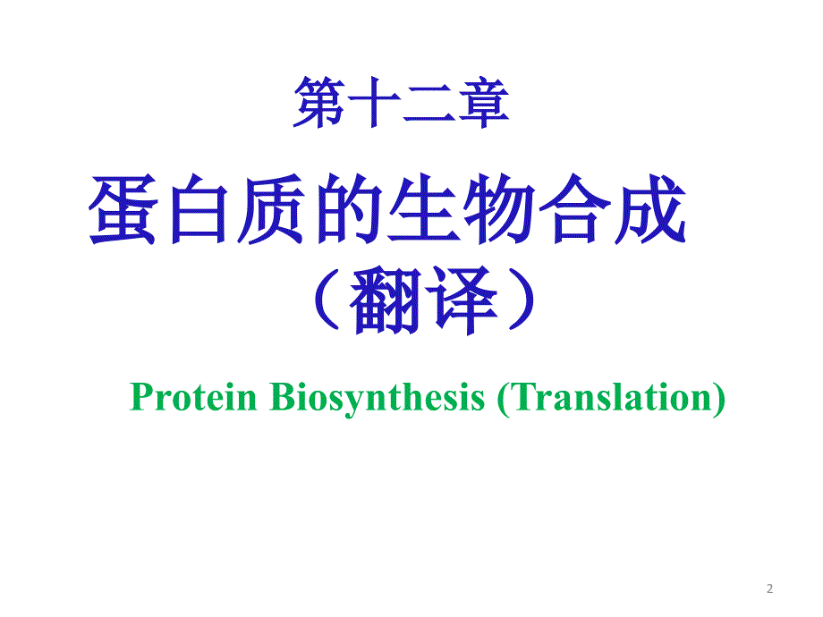 生物化学：第12章 蛋白质的生物合成_第2页