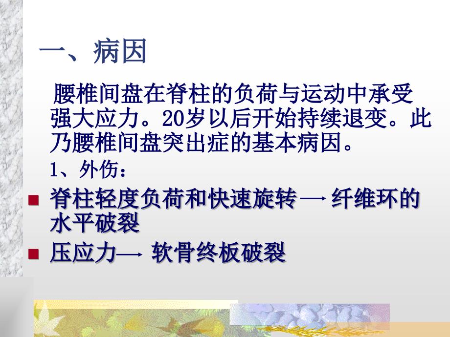 腰椎间盘突出症教学查房PPT优秀课件_第3页