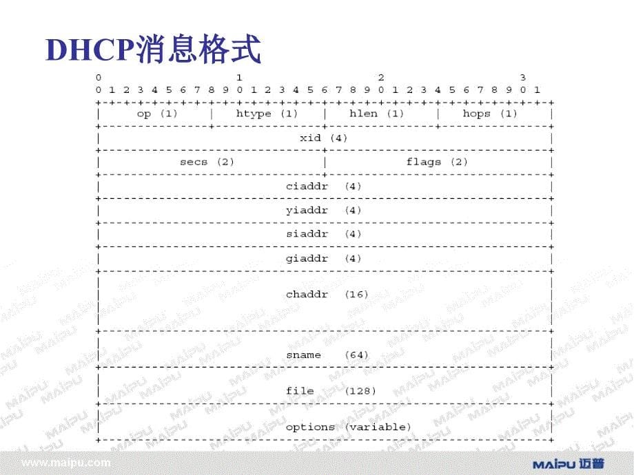 MP技术支持培训-路由器应用协议.ppt_第5页