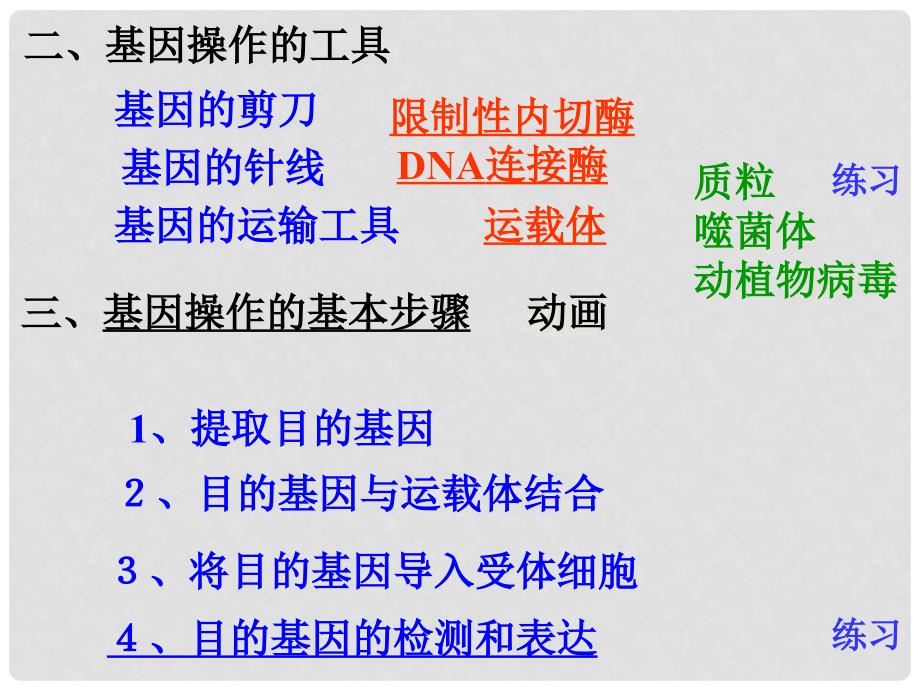 湖北省荆州市沙市第五中学高中生物 6.2 基因工程课件1 新人教版必修2_第4页