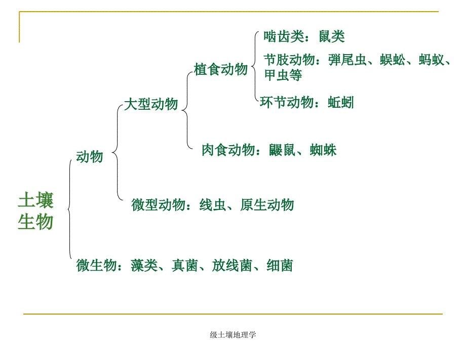 级土壤地理学课件_第5页