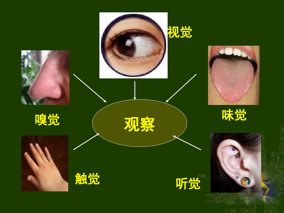 人体对外界环境的感知11_第2页