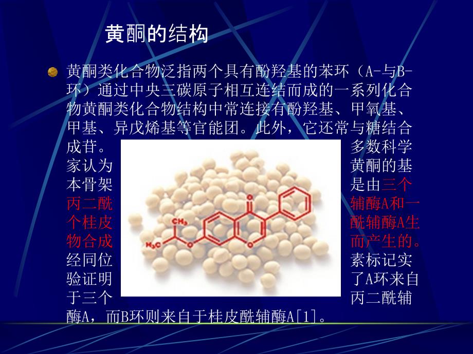 生物黄酮PPT课件_第2页