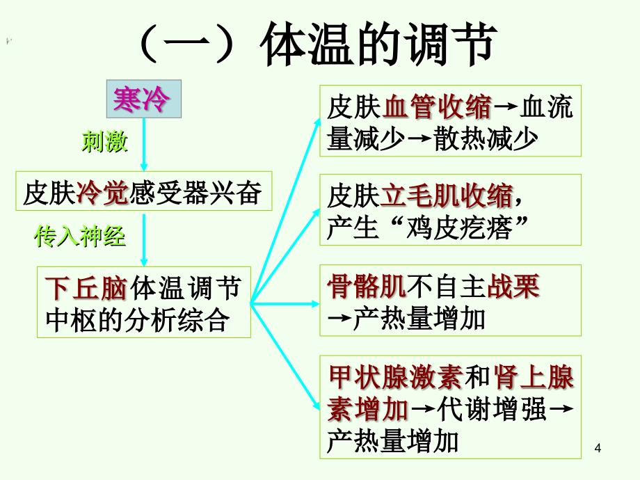 神经调节与体液调节的关系人教版必修三_第4页