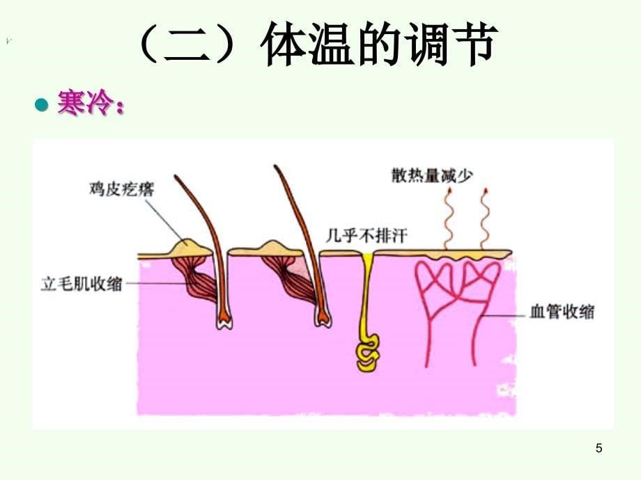 神经调节与体液调节的关系人教版必修三_第5页