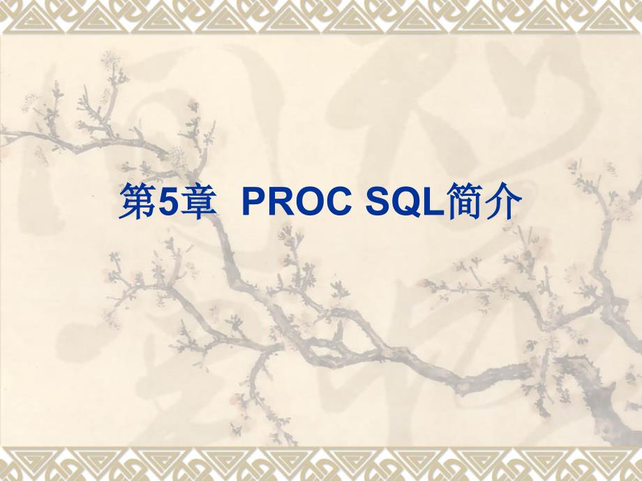 《PROCSQL简介》PPT课件.ppt_第1页