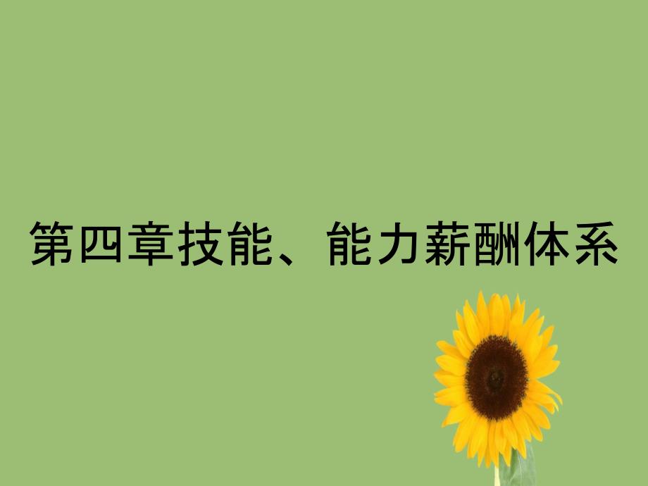 第四章技能能力薪酬体系_第1页
