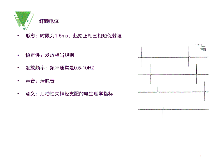 肌电图基础知识之电位分析ppt课件_第4页