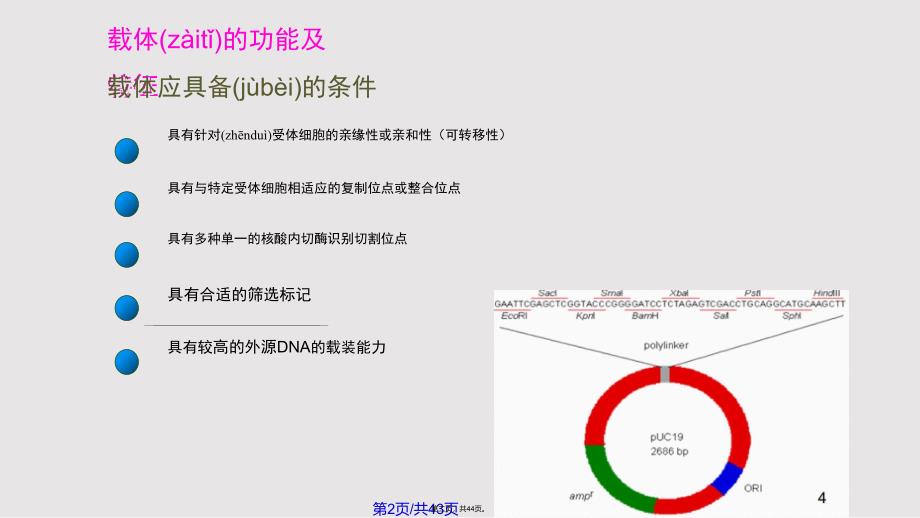 DNA重组的载体蓝背景实用教案_第2页