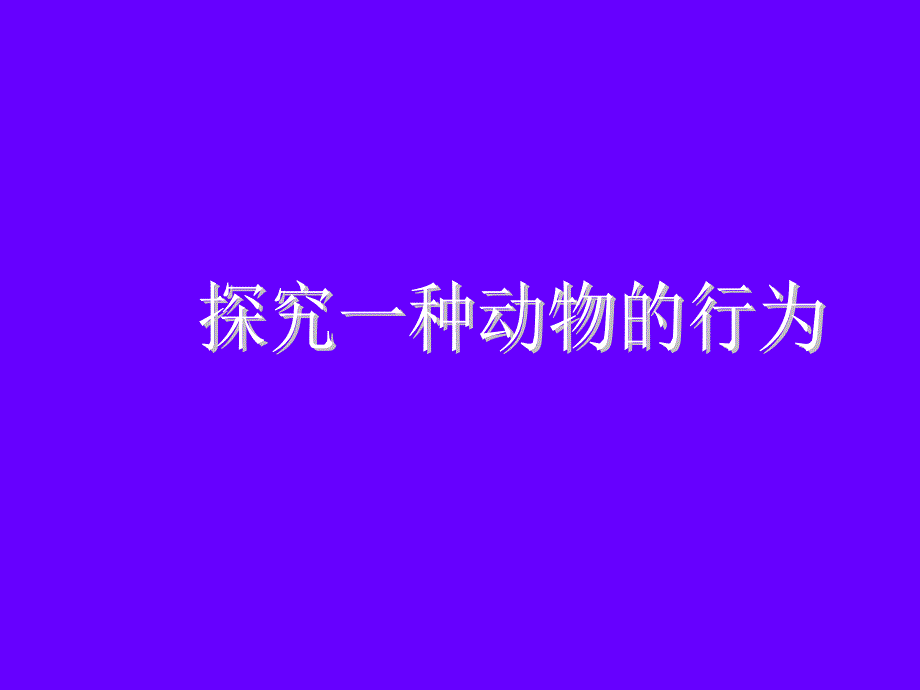 菜青虫的取食行为2_第3页