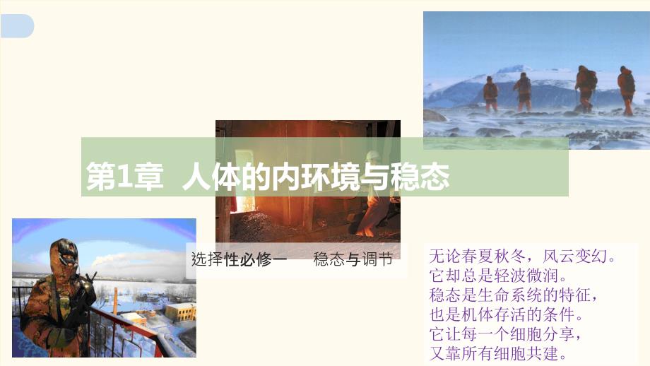 【课件】内环境的稳态 2023-2024学年高二生物（人教版2019选择性必修1）_第1页