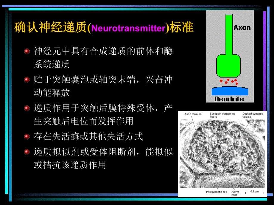 高级生理学-神经递质与受体(上)#课件参考_第5页