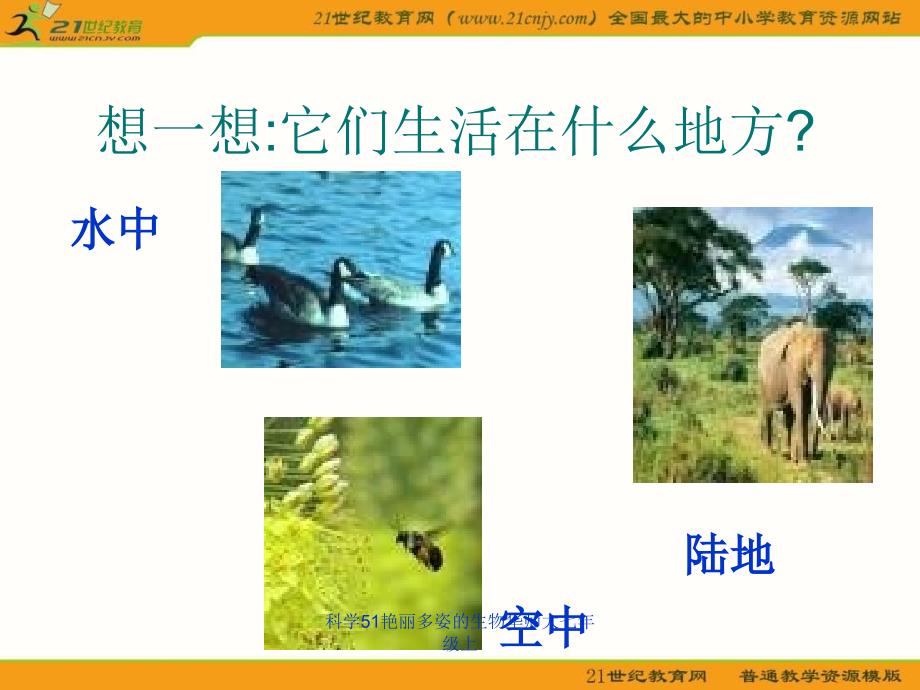 科学51艳丽多姿的生物华师大七年级上课件_第2页