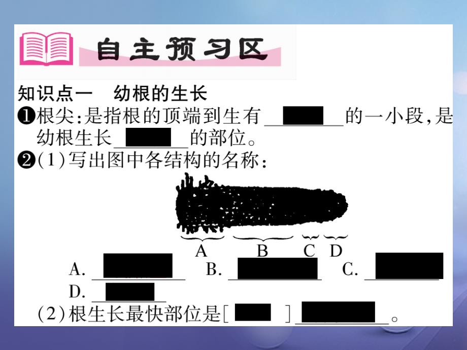 2023年秋七年级生物上册 第3单元 第2章 第二节 植物的生长（第1课时）课件 （新版）新人教版_第2页