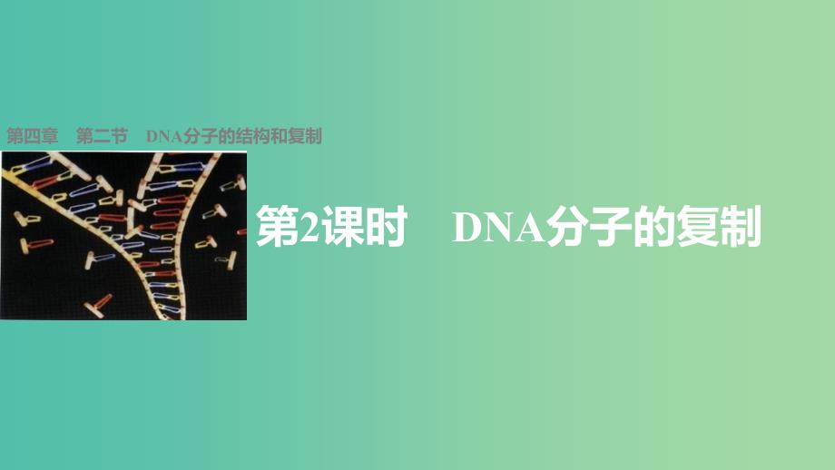 高中生物 4.2 DNA分子的复制（第2课时）课件 苏教版必修2.ppt_第1页